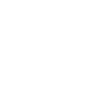 20%
